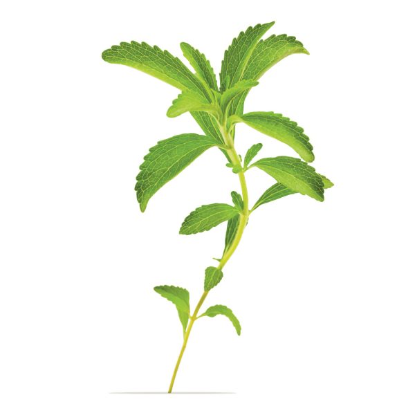 stevia